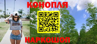 гидра Тверь