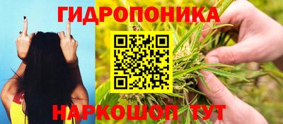 кокс Тара