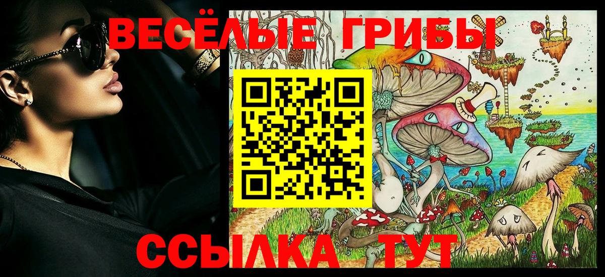 ГАШ Чистополь