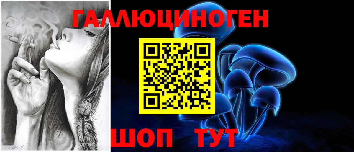 Галлюциногенные грибы Psilocybe Чистополь